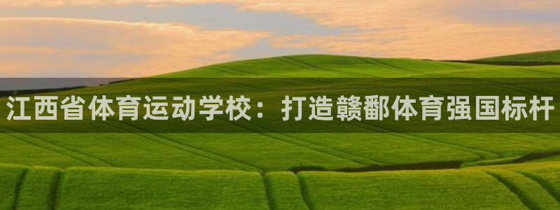 德国尊龙官方正版app集团：江西省体育运动学校：打造