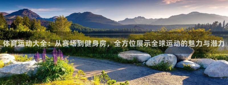尊龙官方正版app五金厂：体育运动大全：从赛场到健身