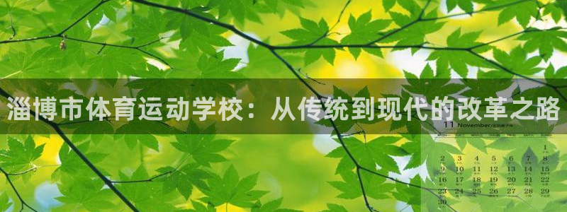注册尊龙官方正版app：淄博市体育运动学校：从传统到