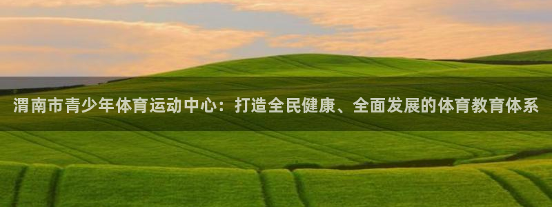 尊龙官方正版app集团E.ON：渭南市青少年体育运动