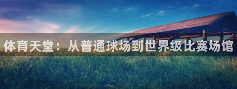 尊龙官网下载平台是正规平台吗：体育天堂：从普通球场到