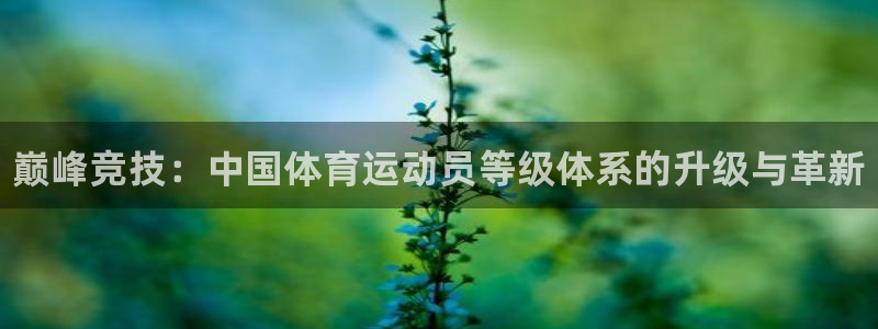 尊龙官方正版app集团logo