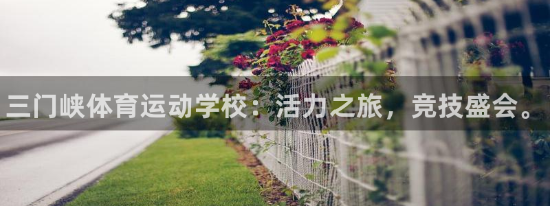 尊龙官网下载平台：三门峡体育运动学校：活力之旅，竞技