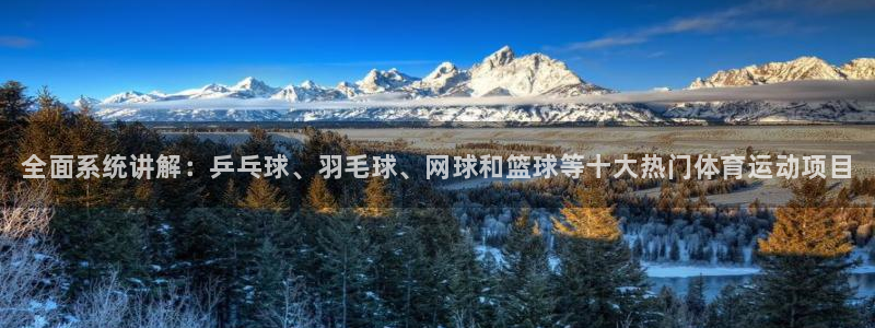 尊龙官网下载招商电话号码：全面系统讲解：乒乓球、羽毛