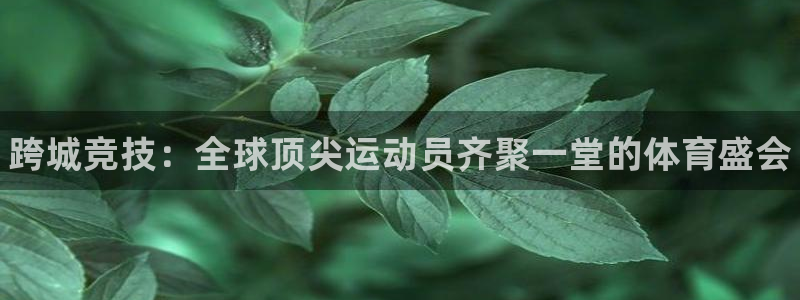 尊龙官方正版app娱乐平台：跨城竞技：全球顶尖运动员