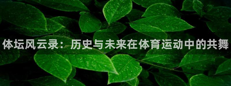 尊龙官网下载是干嘛的公司：体坛风云录：历史与未来在体