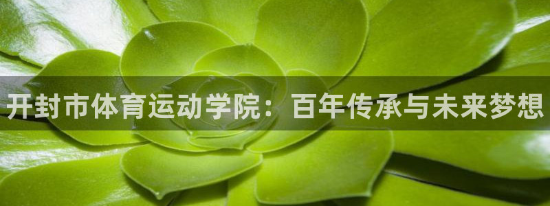 尊龙官方正版app科技：开封市体育运动学院：百年传承