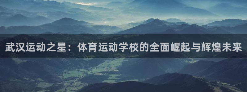 尊龙官方正版app集团E.ON：武汉运动之星：体育运