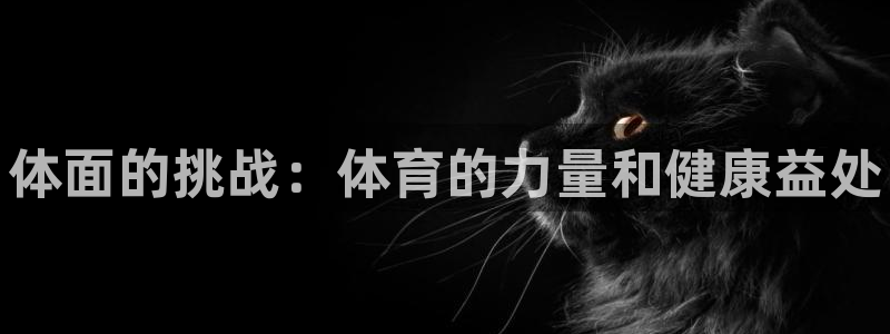 尊龙官网下载平台注册要钱吗安全吗：体面的挑战：体育的