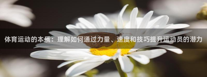 尊龙官网下载平台假的吗是真的吗：体育运动的本质：理解