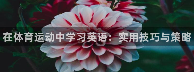 尊龙官方正版app娱乐首页网站大全