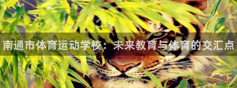 尊龙官网下载娱乐：南通市体育运动学校：未来教育与体育的交汇点