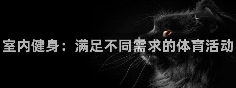 尊龙官方正版app官方：室内健身：满足不同需求的体育