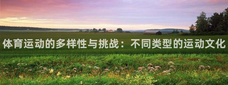 尊龙官网下载官方客服电话：体育运动的多样性与挑战：不同类型的