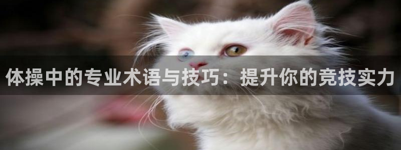 尊龙官方正版app娱乐首页官网下载：体操中的专业术语与技巧：