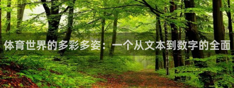 尊龙官方正版app神州：体育世界的多彩多姿：一个从文本到数字