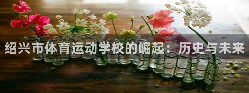 尊龙官网下载招商电话号码：绍兴市体育运动学校的崛起：历史与未