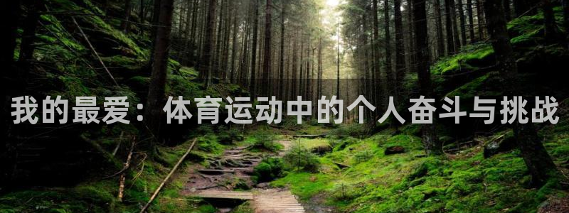 尊龙官网下载平台注册流程图：我的最爱：体育运动中的个人奋斗与