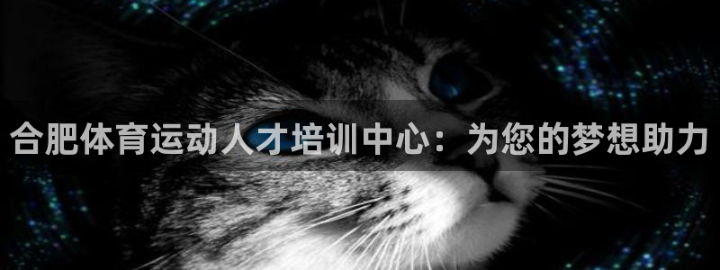 尊龙官网下载招商电话号码：合肥体育运动人才培训中心：为您的梦
