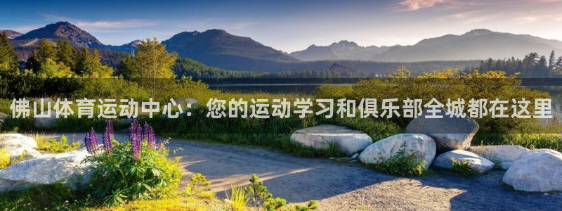 德国尊龙官方正版app集团：佛山体育运动中心：您的运