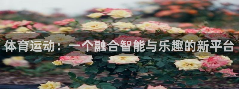 尊龙官方正版app娱乐首页官网下载：体育运动：一个融