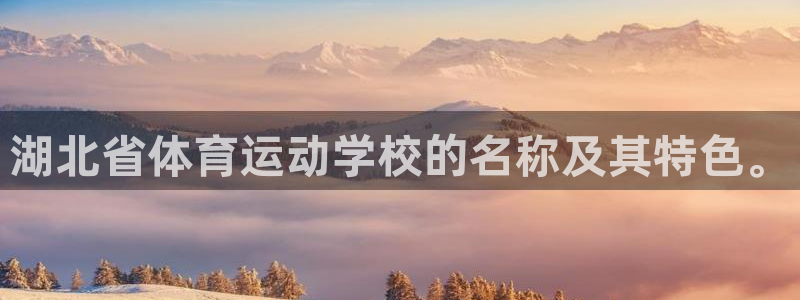 尊龙官方正版app五金厂：湖北省体育运动学校的名称及
