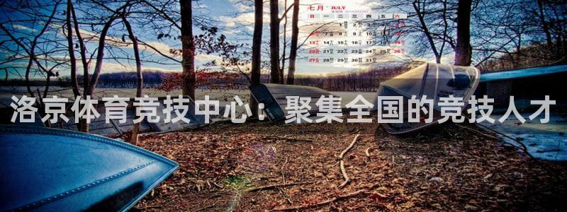 尊龙官方正版app娱乐首页网站大全：洛京体育竞技中心：聚集全