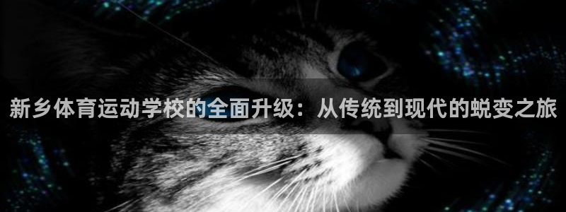 尊龙官网下载平台是正规平台吗安全吗