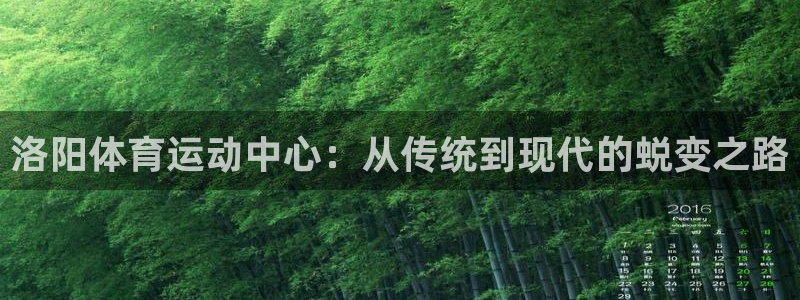 尊龙官网下载注册：洛阳体育运动中心：从传统到现代的蜕变之路