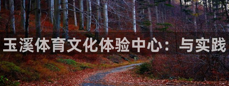 尊龙官网下载平台注册要钱吗安全吗：玉溪体育文化体验中