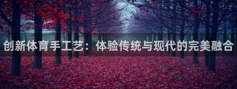 尊龙官方正版app娱乐网站：创新体育手工艺：体验传统与现代的