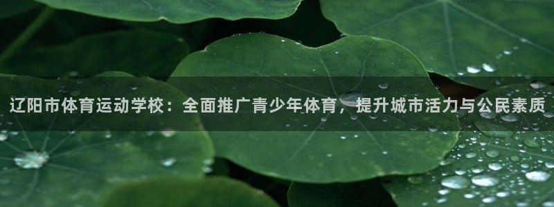 尊龙人生就是博i可靠送38元：辽阳市