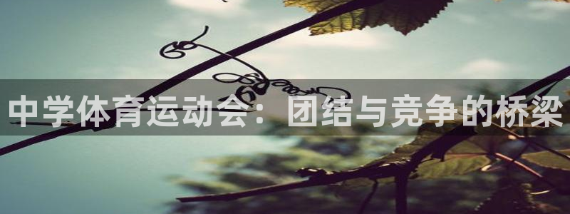 尊龙凯时人生就是博·中国官网：中学体