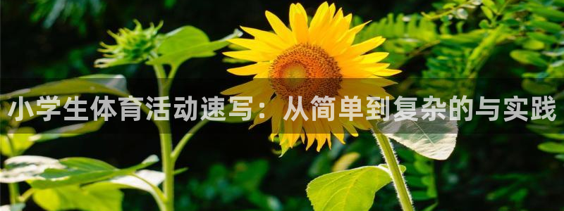 尊龙凯时首页登录：小学生体育活动速写