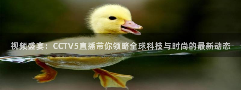 劲爆体育今日节目表直播：视频盛宴：CCTV5直播带你领略全球科技与时尚的最新动态