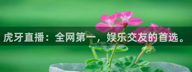 劲爆体育免费直播nba边看边玩1.新通道.club：虎牙直播：全网第一，娱乐交友的首选。