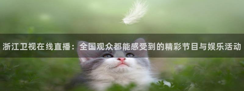 劲爆体育免费直播nba新的好游戏.认证网.org：浙江卫视在线直播：全国观众都能感受到的精彩节目与娱乐活动