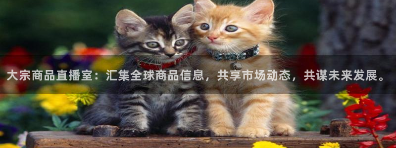 劲爆体育nba在线直播观看高清：大宗商品直播室：汇集全球商品信息，共享市场动态，共谋未来发展。