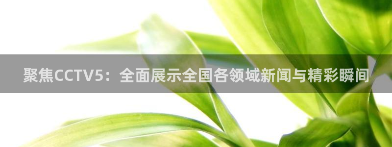 劲爆体育今日节目表直播：聚焦CCTV5：全面展示全国各领域新闻与精彩瞬间