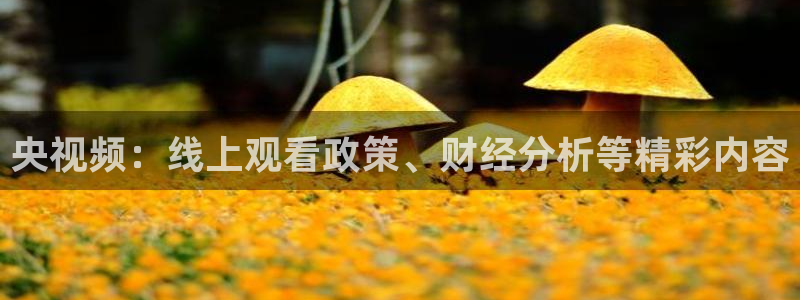 劲爆体育节目直播：央视频：线上观看政策、财经分析等精彩内容
